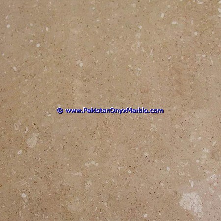 marble-tiles-botticina-flower-tippy-marble-natural-stone-for-floor-walls-bathroom-kitchen-home-decor-02