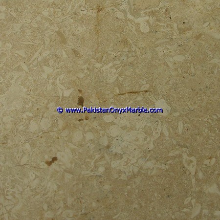 marble-tiles-botticina-flower-tippy-marble-natural-stone-for-floor-walls-bathroom-kitchen-home-decor-05